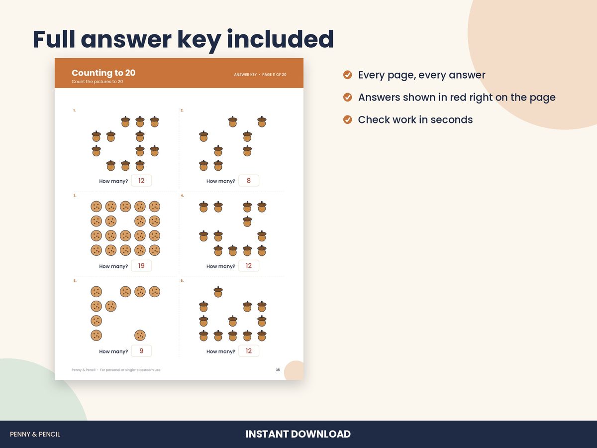 Counting to 20 Worksheets preview 3