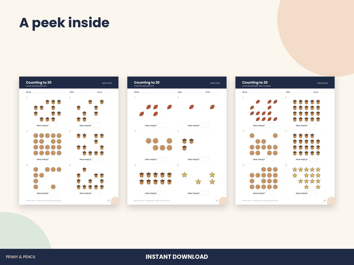 Counting to 20 Worksheets preview 4